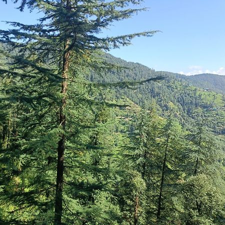 Peace Holiday Homestay Chail Luaran gambar