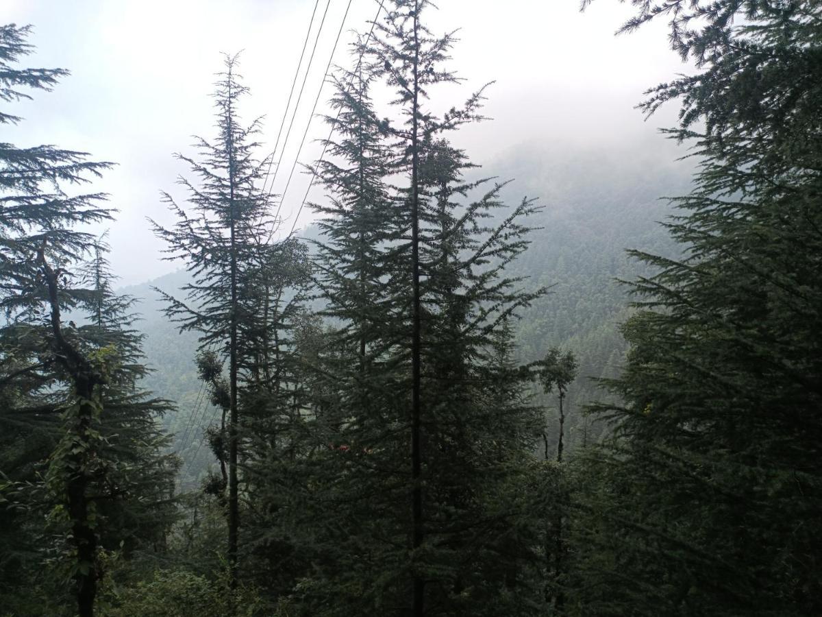 Peace Holiday Homestay Chail Luaran gambar