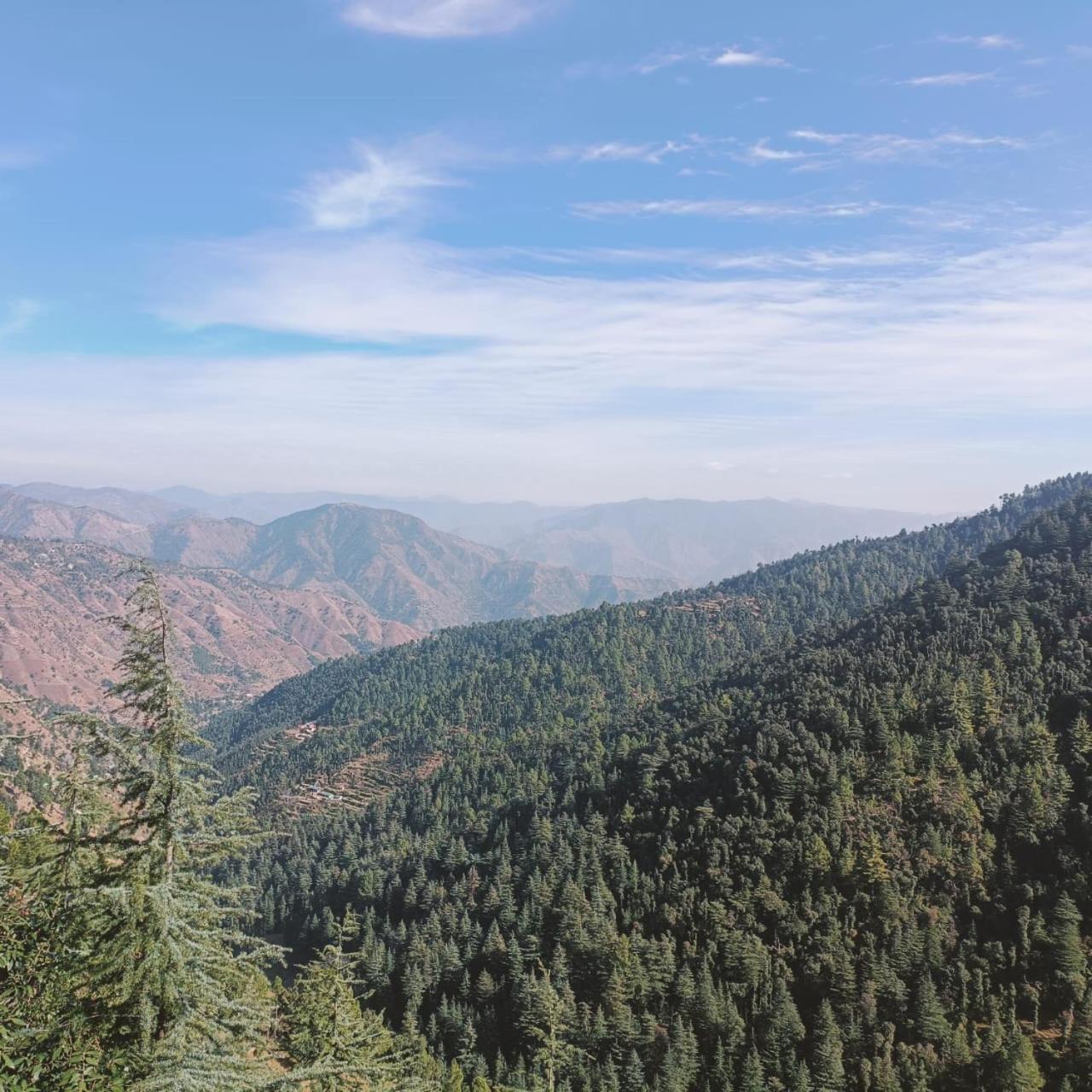 Peace Holiday Homestay Chail Luaran gambar